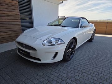 5,0 V8 SC Convertible MAXstav!