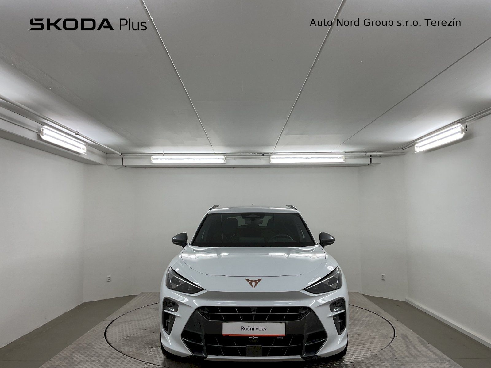 Cupra Terramar, VZ 2.0 TSI 265K DSG 4WD - fotka 4
