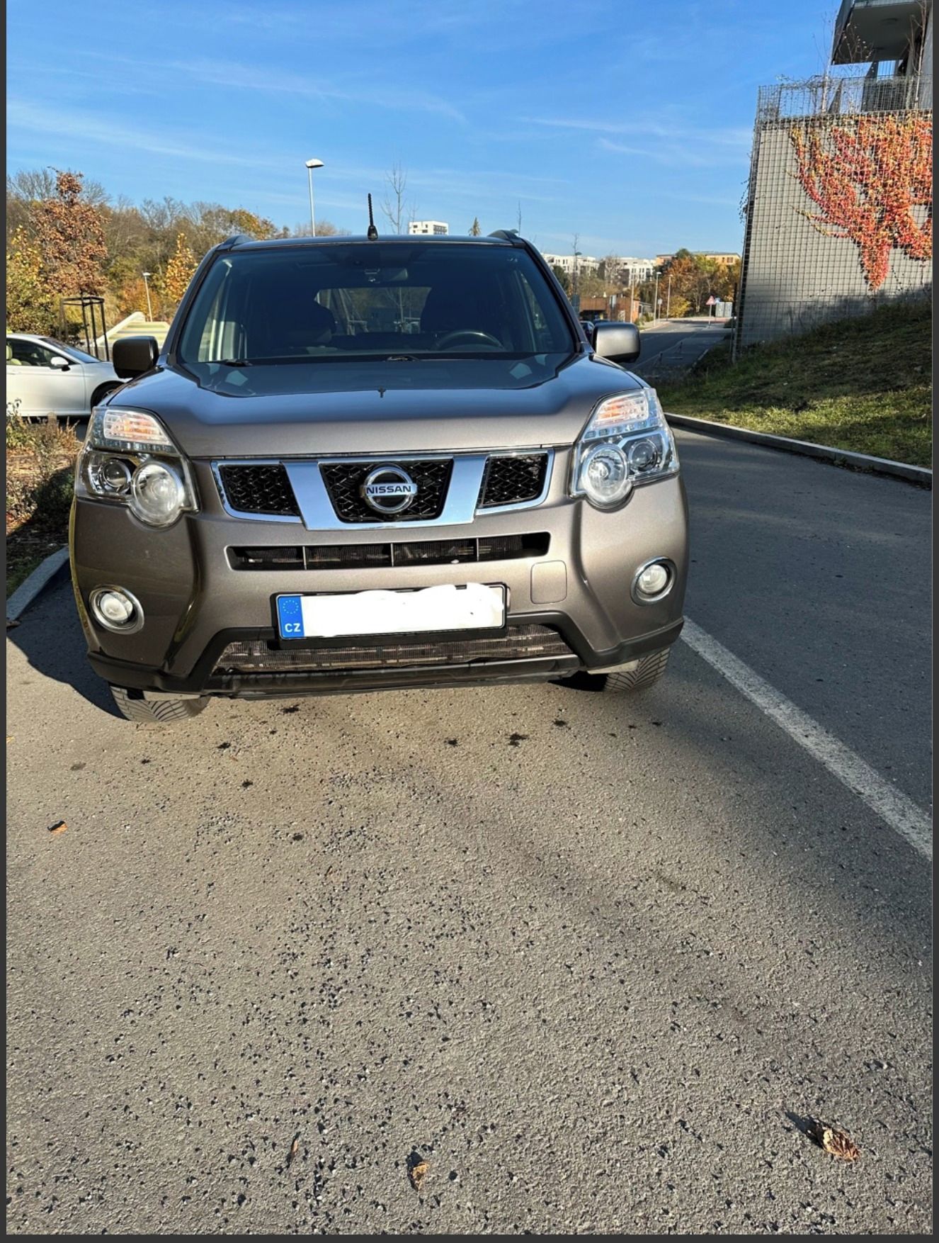Nissan X-Trail, Nissan X-Trail 2.0 dCi 4x4 - fotka 2