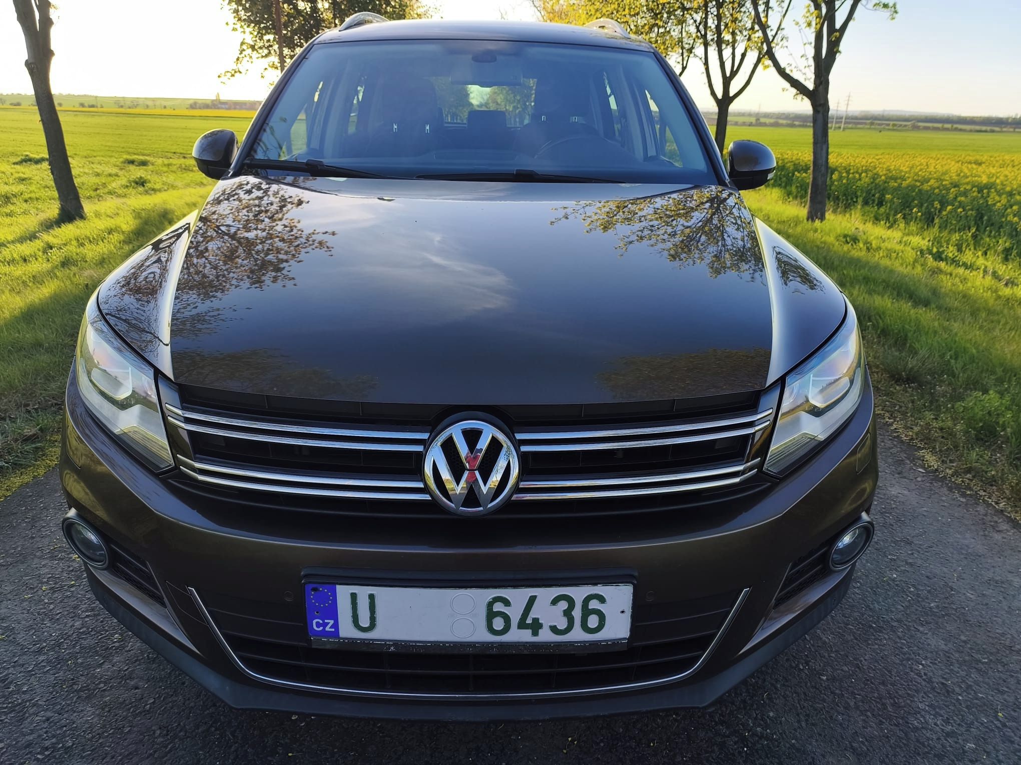 Volkswagen Tiguan, 2,0 TDi 103 kW 4x4 - fotka 3