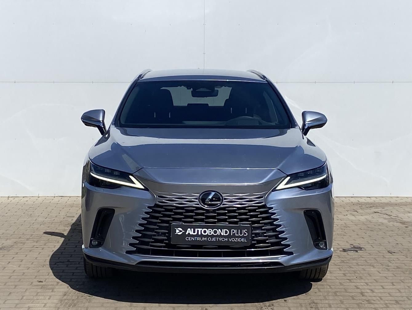 Lexus RX 350h, 2.5 HSD e-CVT AWD Luxury - fotka 4