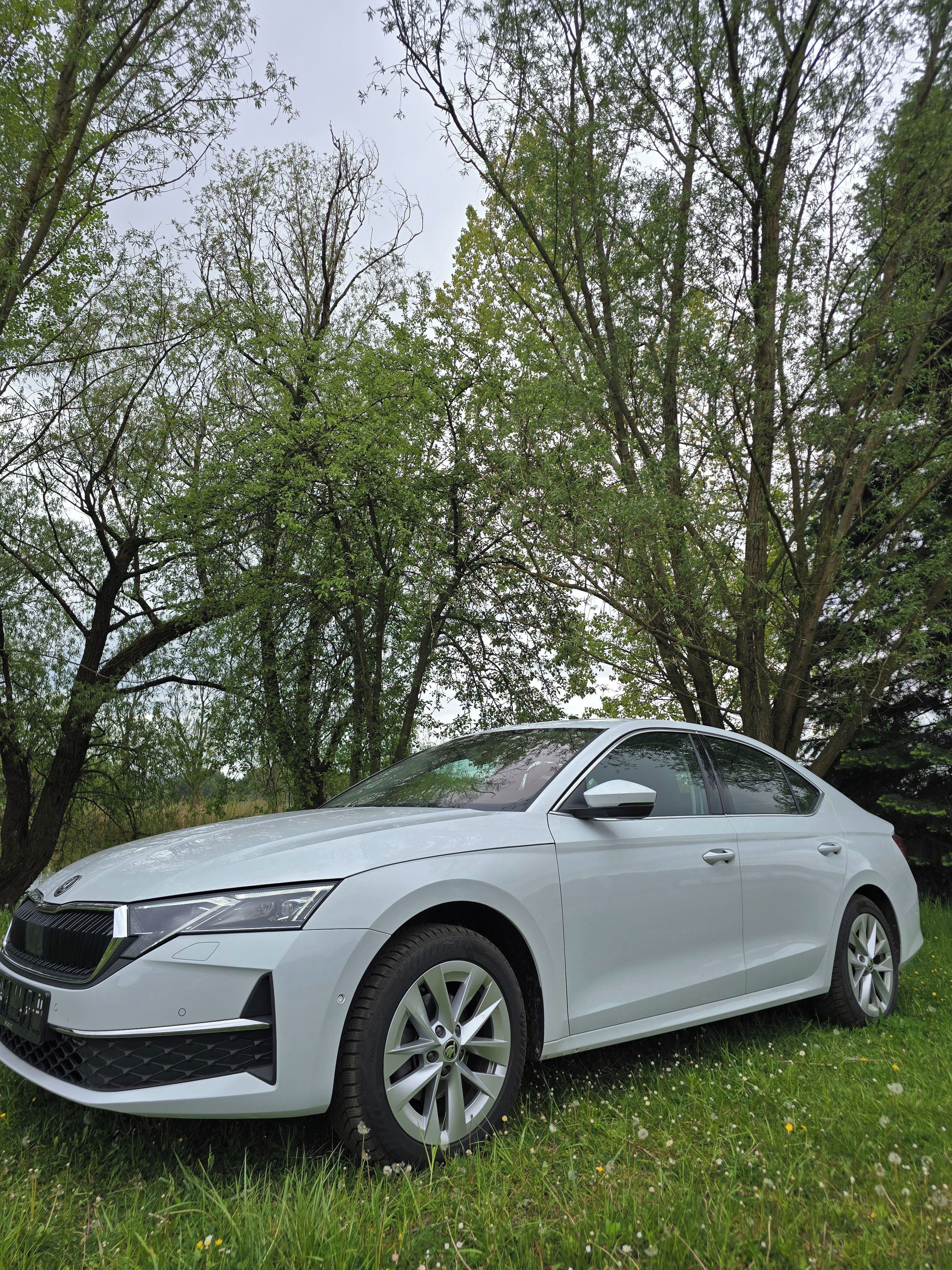 Škoda Octavia, SKODA OCTAVIA IV FACRLIFT 2024 - fotka 2