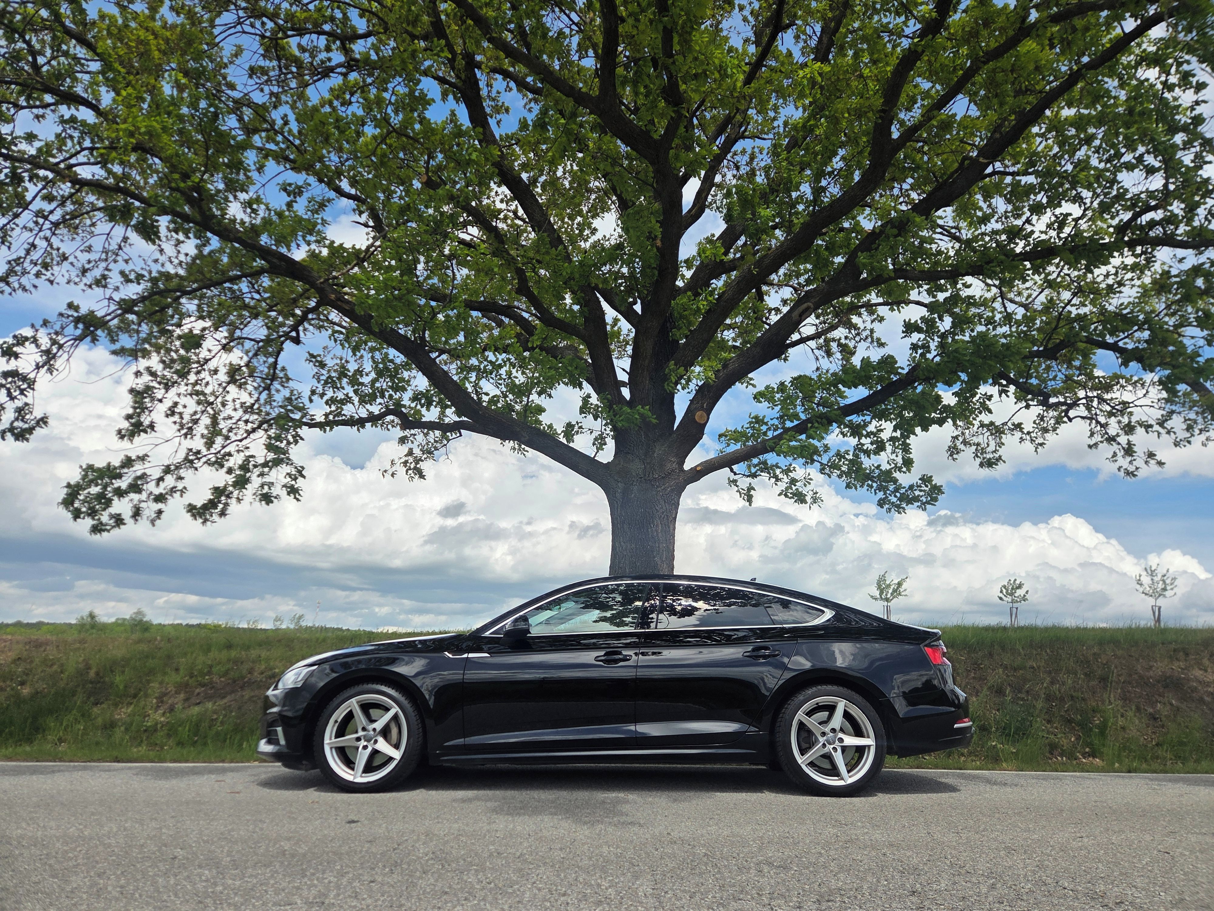 Audi A5, 2.0TFSI - výkonná 184KW