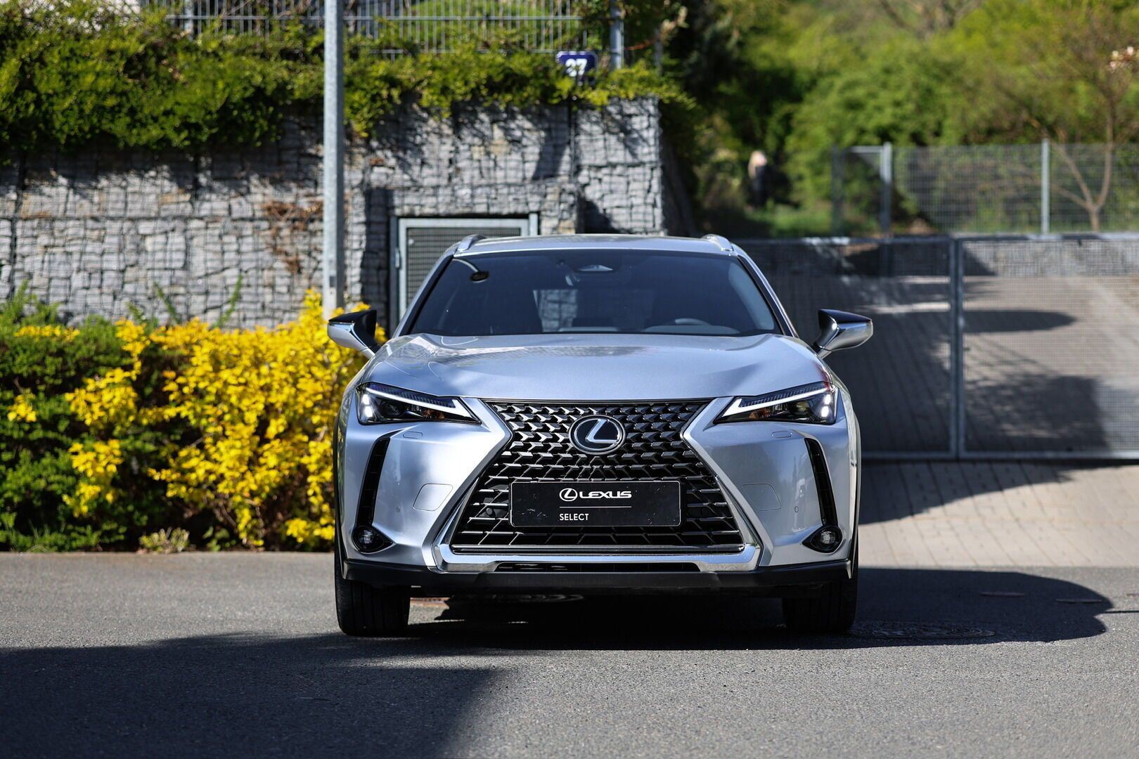 Lexus UX 300h, 300h 2,0 HEV BUSINESS TECH - fotka 3