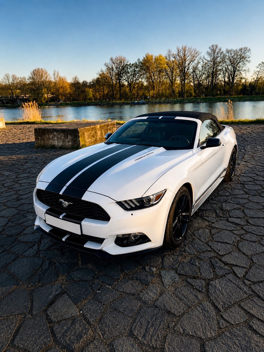 Ford Mustang, Cabrio 2.3L, Roush, 2016
