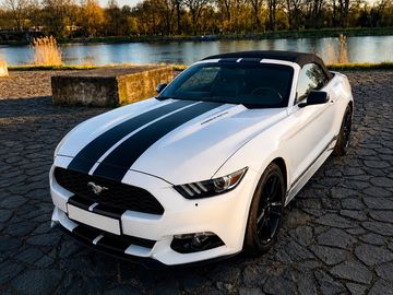 Cabrio 2.3L, Roush, 2016