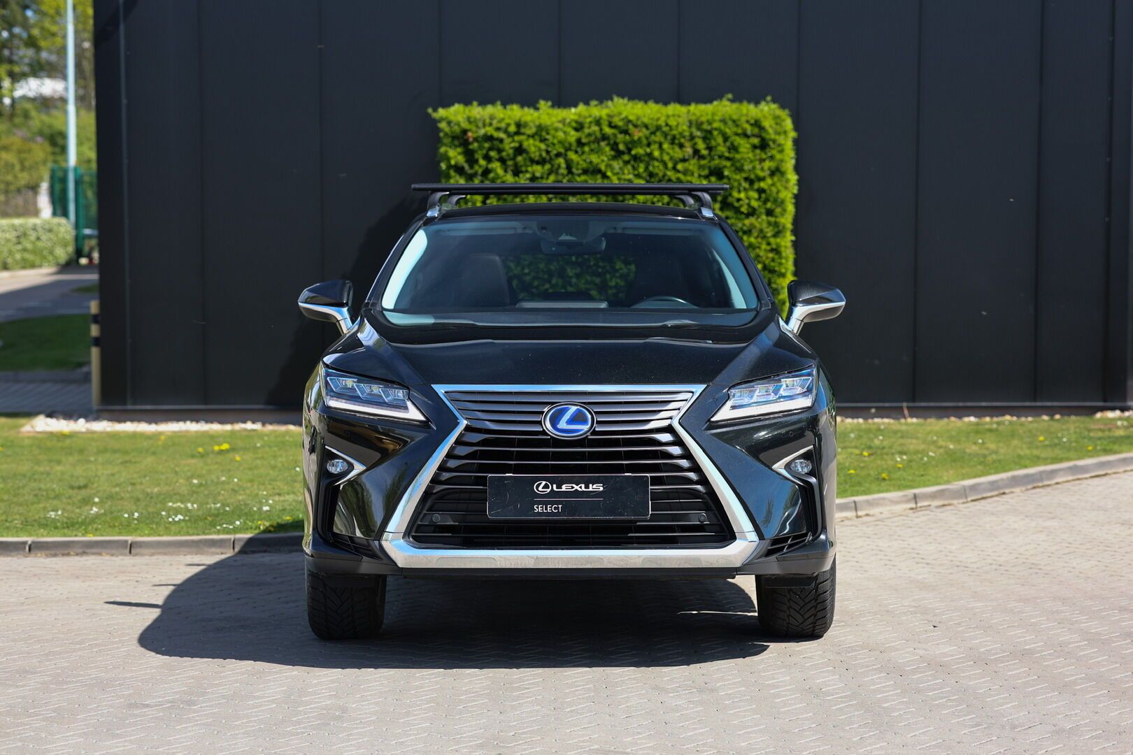 Lexus RX 450h, 450H 3,5 HEV EXECUTIVE PLUS - fotka 5