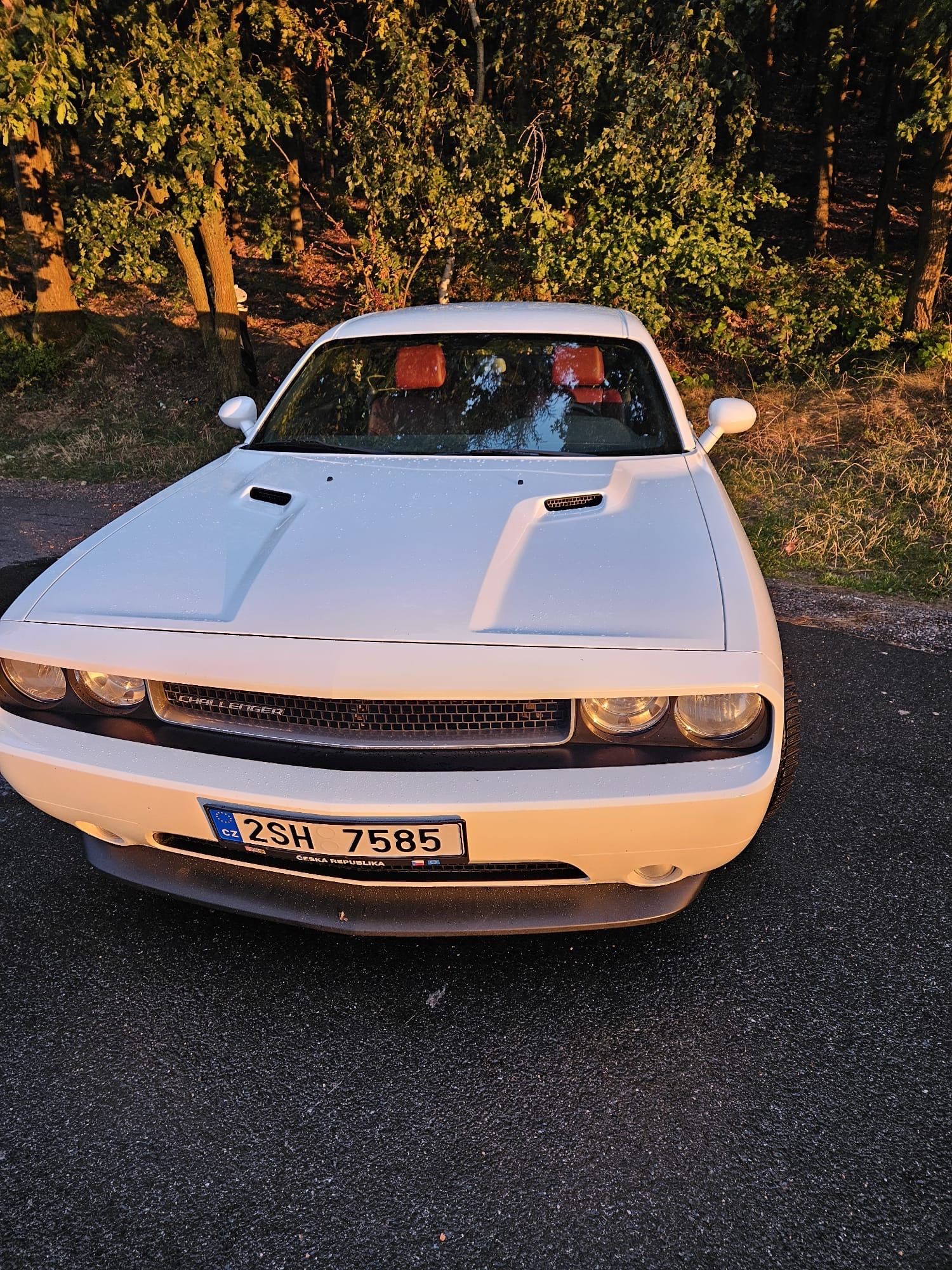 Dodge Challenger, Prodám Dodge Challenger