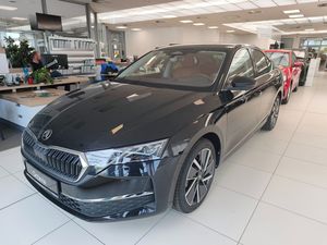 Škoda Octavia, Exclus. Sel. 2.0TDI 110kW 7DSG