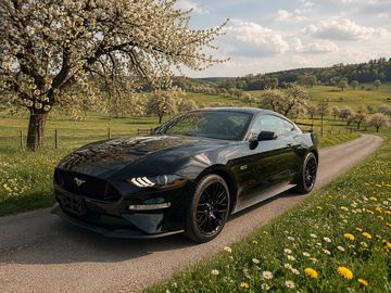 Ford Mustang GT,5.0 V8  2020