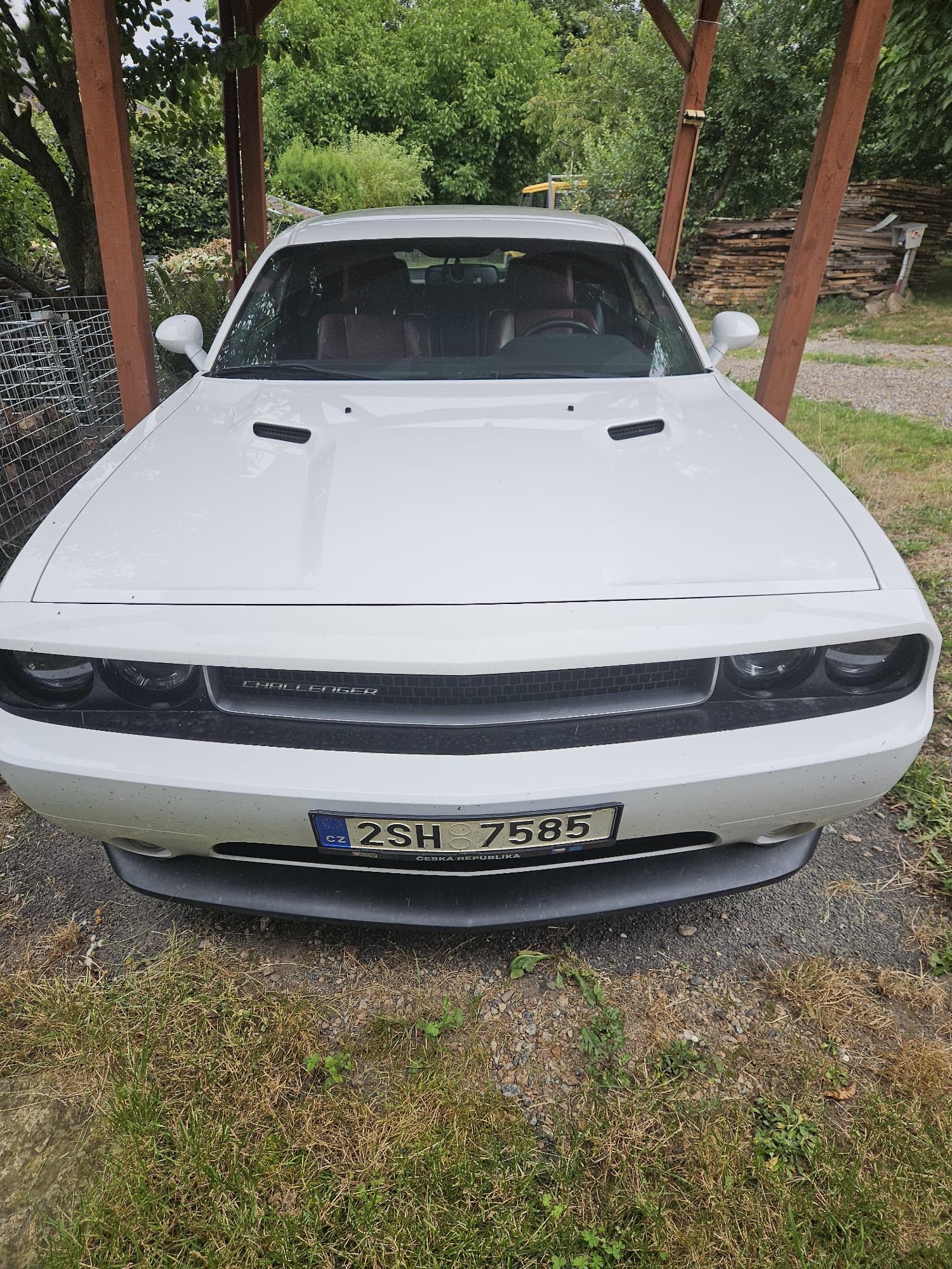 Dodge Challenger, Prodám Dodge Challenger - fotka 5