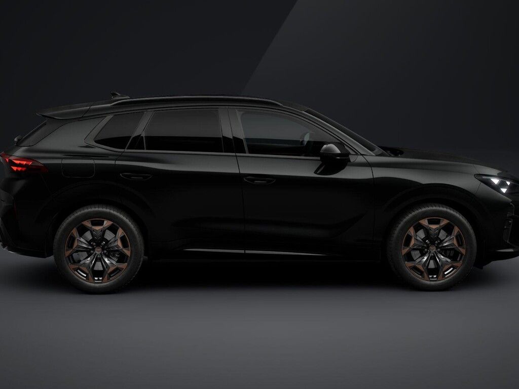 Cupra Terramar, 2.0TSI 150kW DSG 4WD - fotka 4