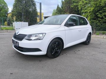 1,0 MPi