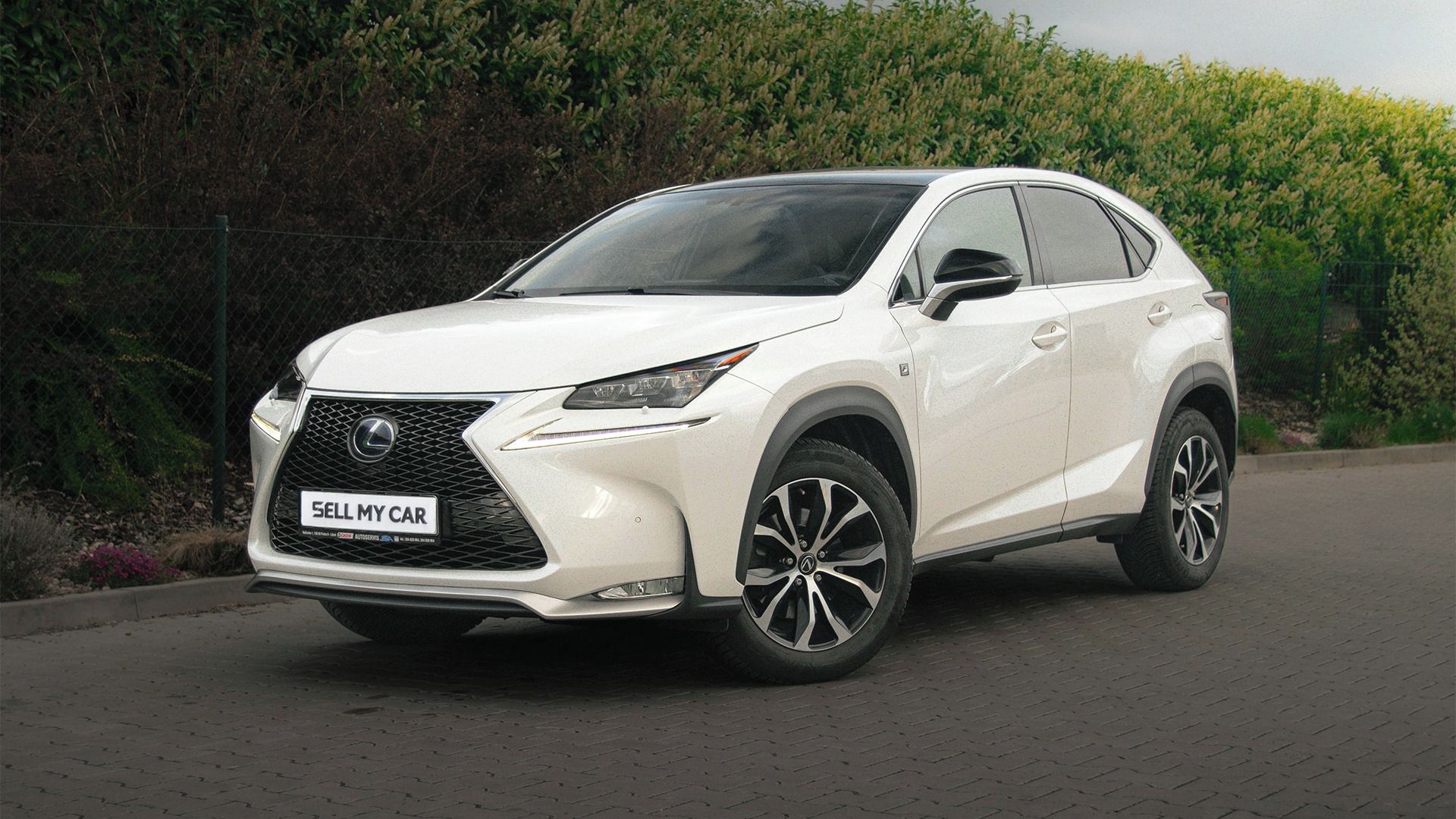 Lexus NX 300h, F SPORT 2,5/114kW 4x4 Panorama