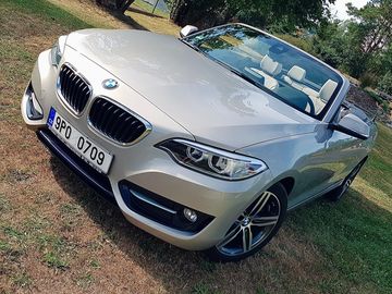 220i Cabrio (F23)