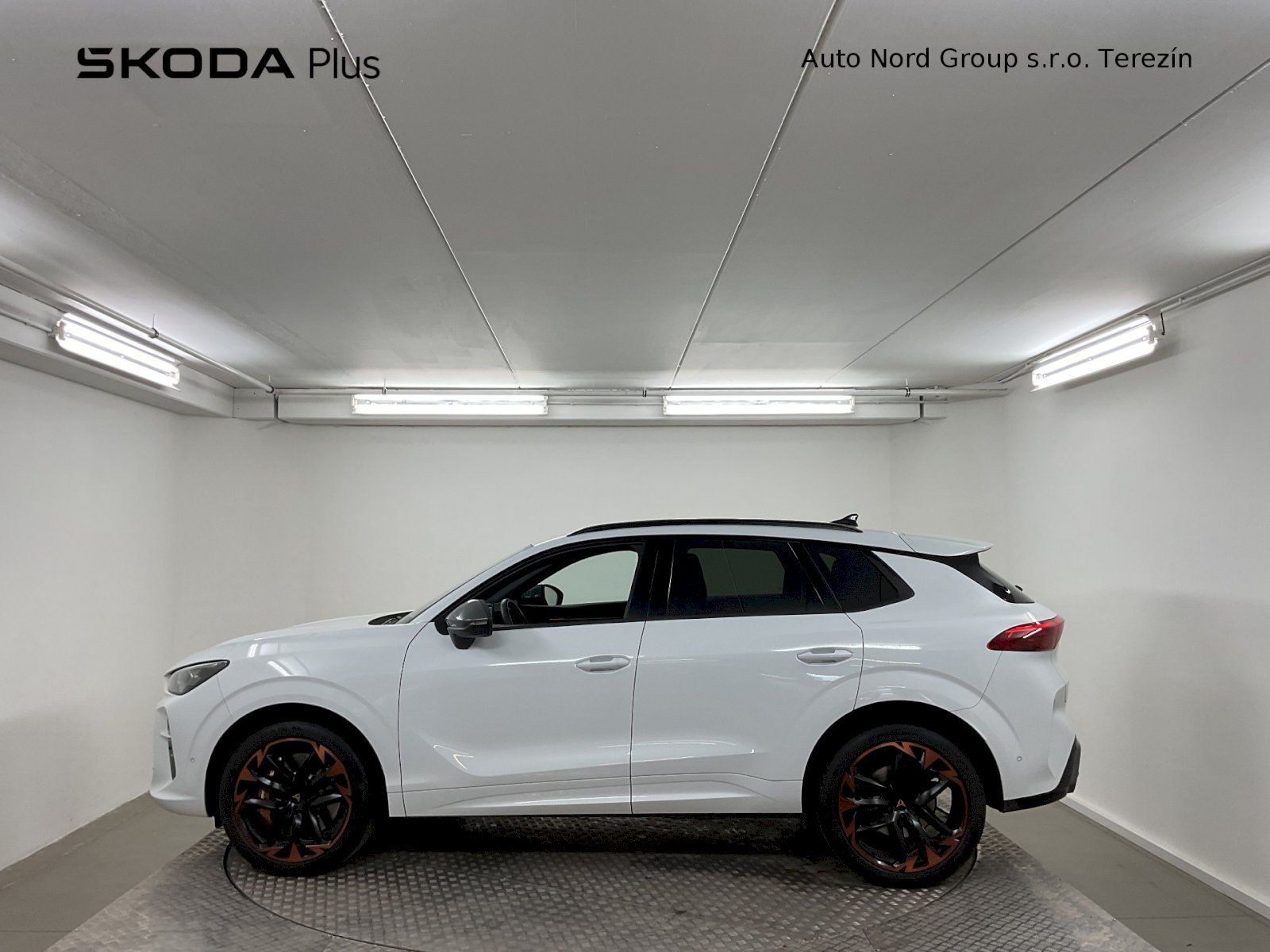 Cupra Terramar, VZ 2.0 TSI 265K DSG 4WD - fotka 3