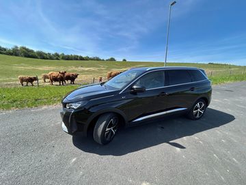 Peugeot 5008 GT, 1.5 BlueHdi