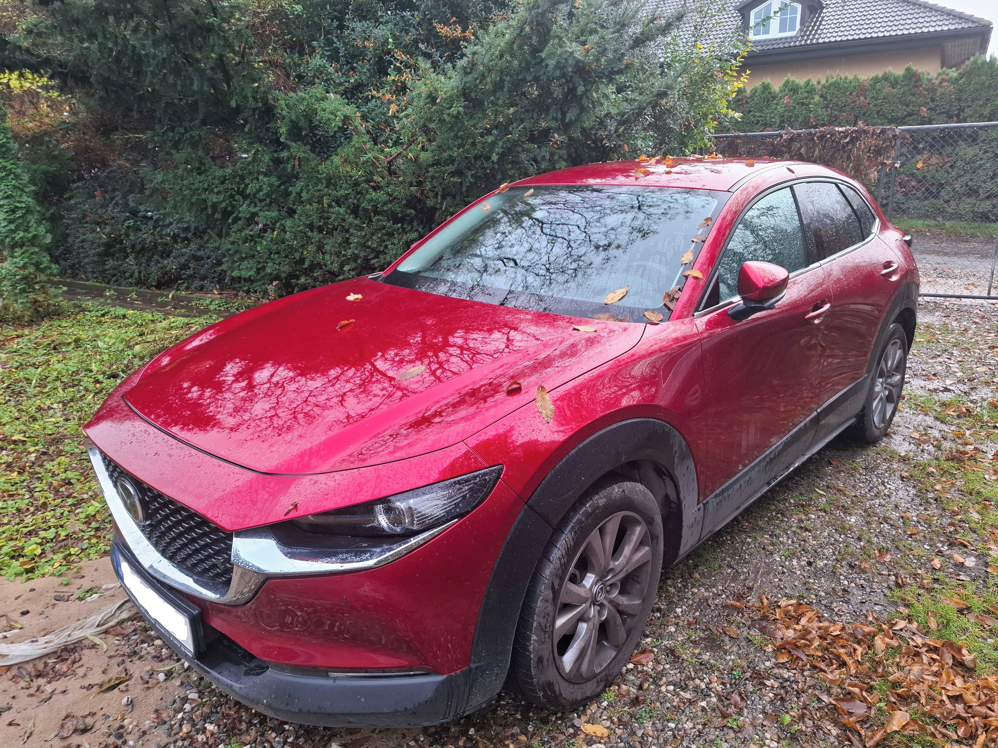 Mazda CX-30, 4x4, Automat, bez havárie - fotka 6
