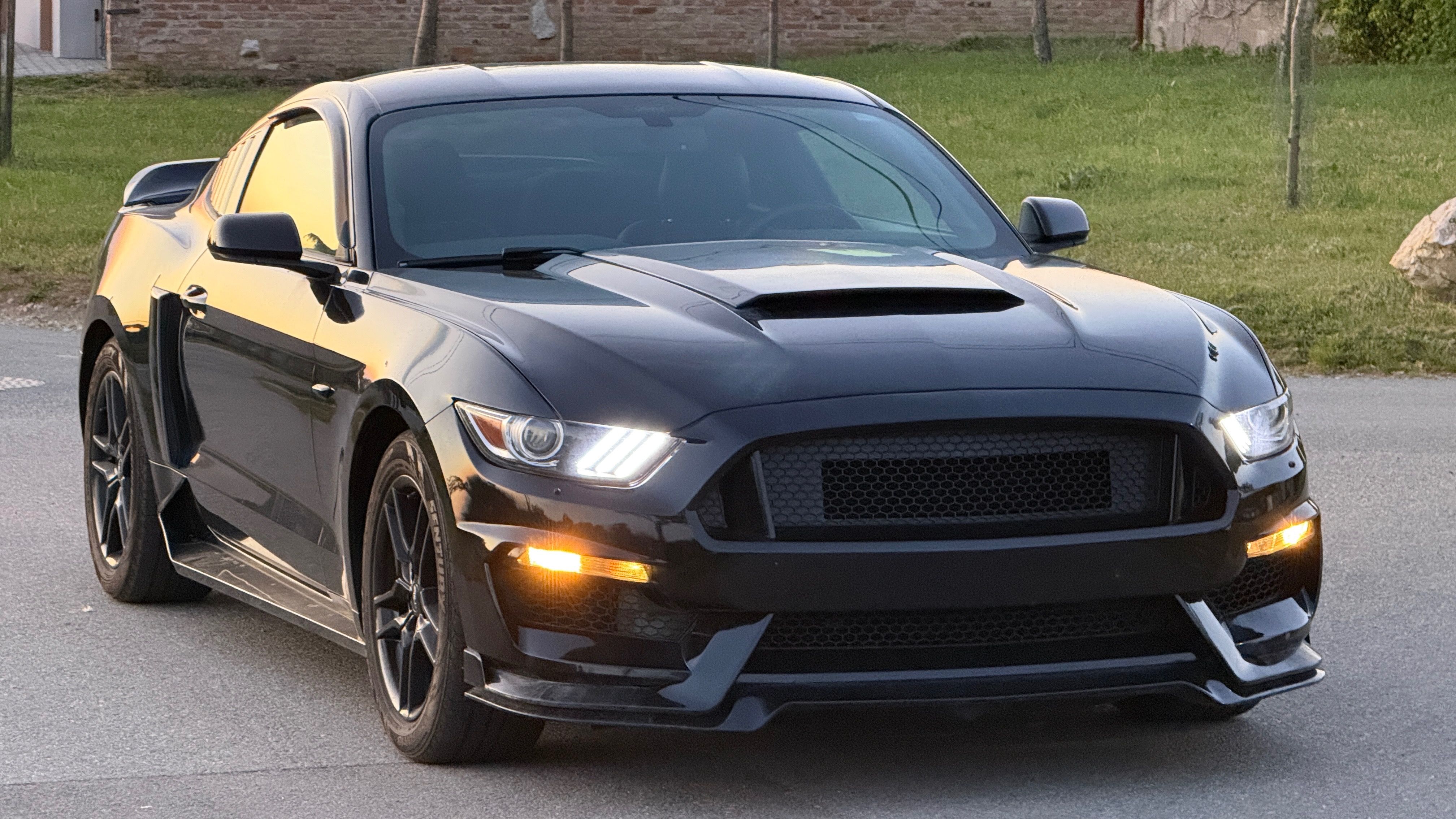 Ford Mustang, 3.7L Automatic Shelby Optika