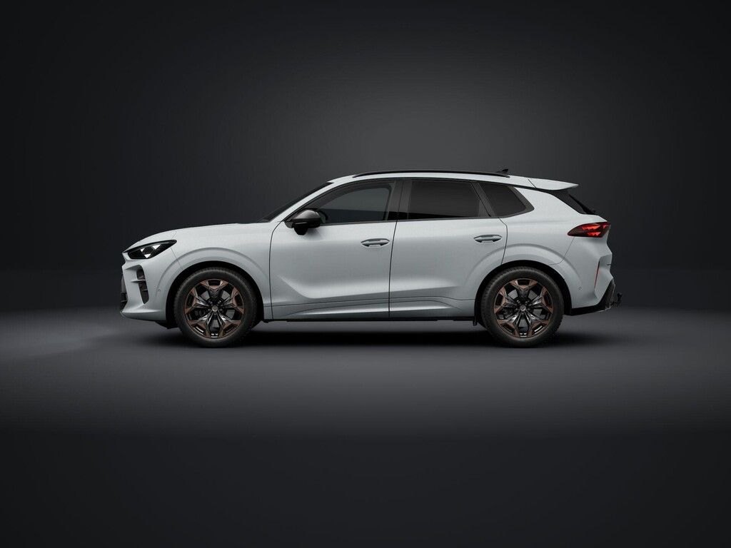 Cupra Terramar, 2.0TSI 150kW DSG 4WD - fotka 2