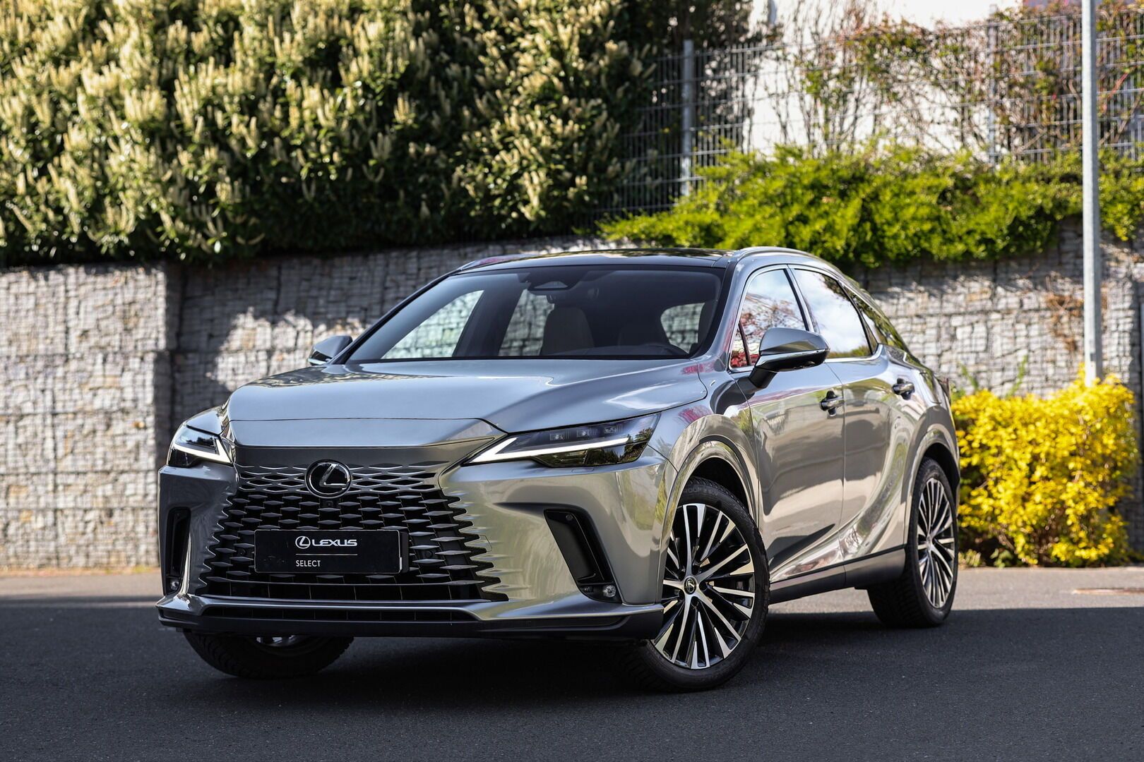 Lexus RX 450h+, 450H+ 2,5 PHEV EXECUTIVE PLUS