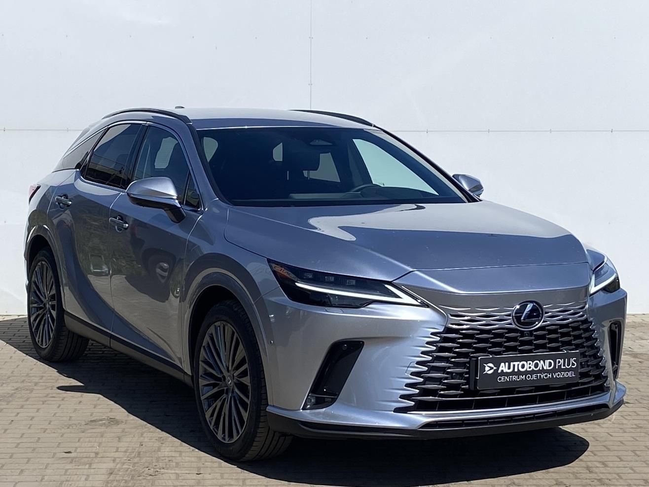 Lexus RX 350h, 2.5 HSD e-CVT AWD Luxury - fotka 6