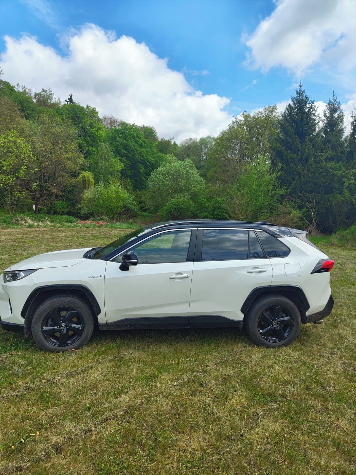 Toyota Rav4, Selection,4x4,tažné,zimáky,TOP
