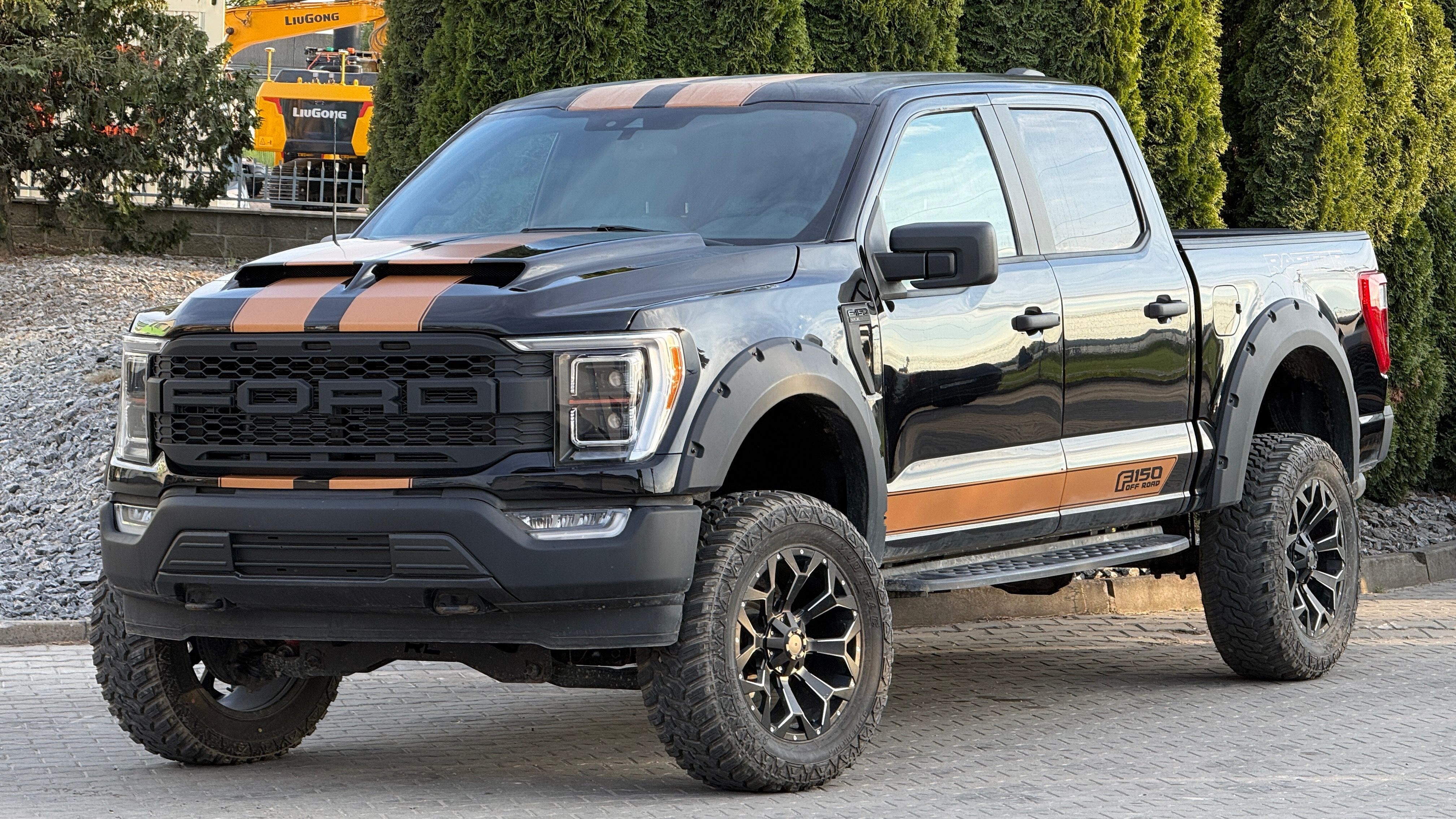 Ford F-150, 5.0L Raptor Optic Profi Lift - fotka 5