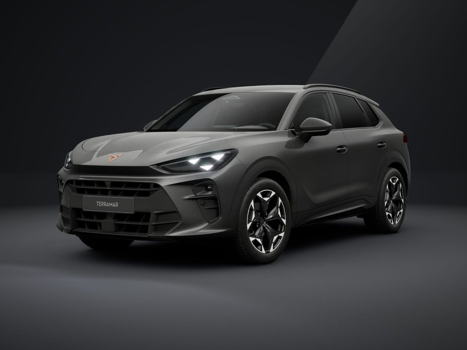 Cupra Terramar, 2.0 VZ 265k 4x4Pano,Matrix,20"
