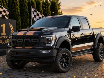 5.0L Raptor Optic Profi Lift