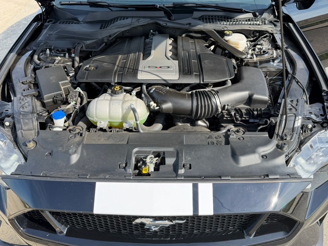 Ford Mustang, GT a 55 years edition - fotka 6