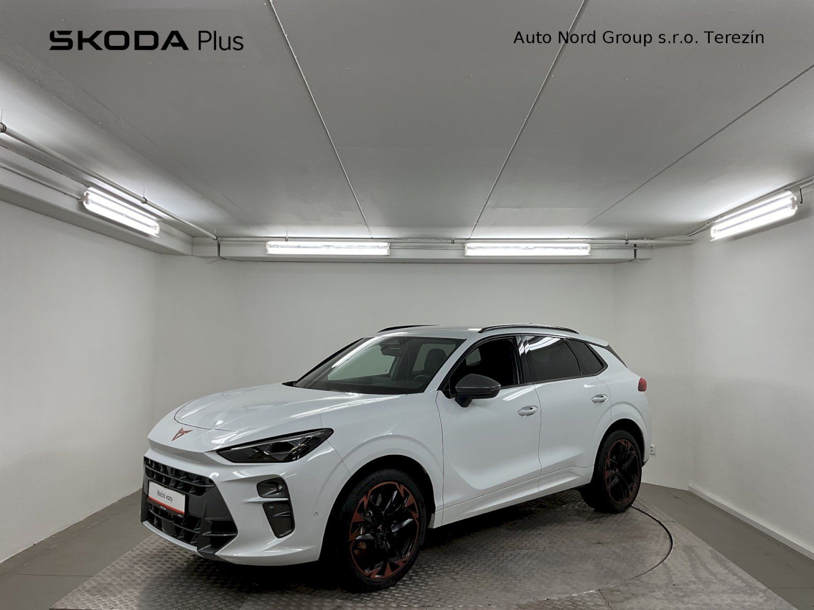 Cupra Terramar, VZ 2.0 TSI 265K DSG 4WD