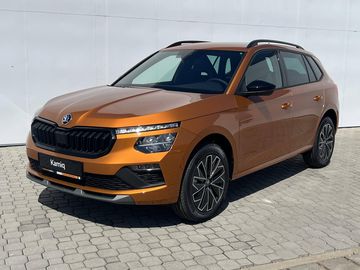 Dynamic 6MP 1,0TSI