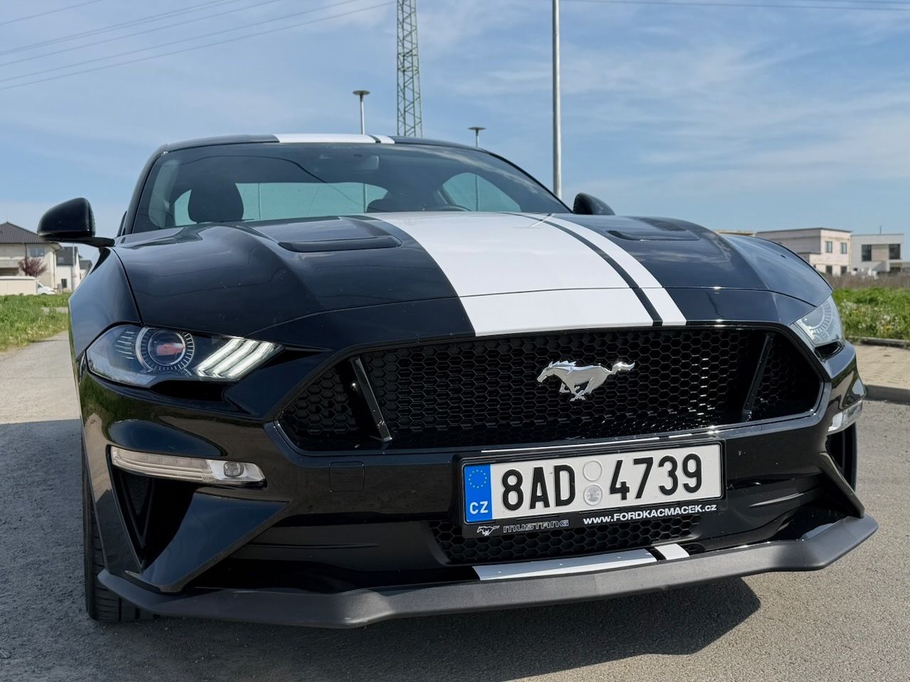 Ford Mustang, GT a 55 years edition - fotka 2