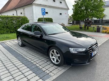 2.0 TDI, 130 kW, QUATTRO, KŮŽE
