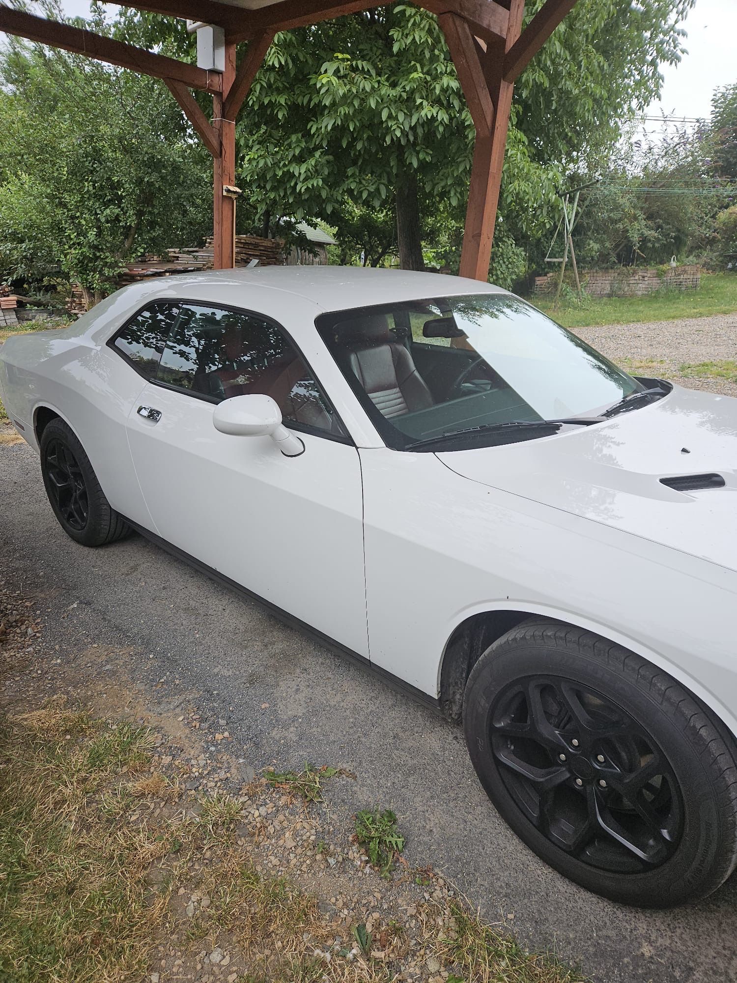Dodge Challenger, Prodám Dodge Challenger - fotka 4
