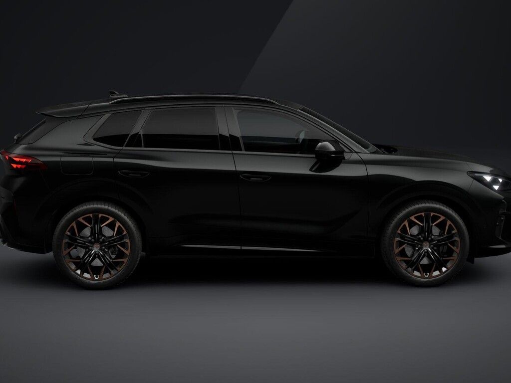 Cupra Terramar, 2.0 TSI 195kW 4WD DSG - fotka 6