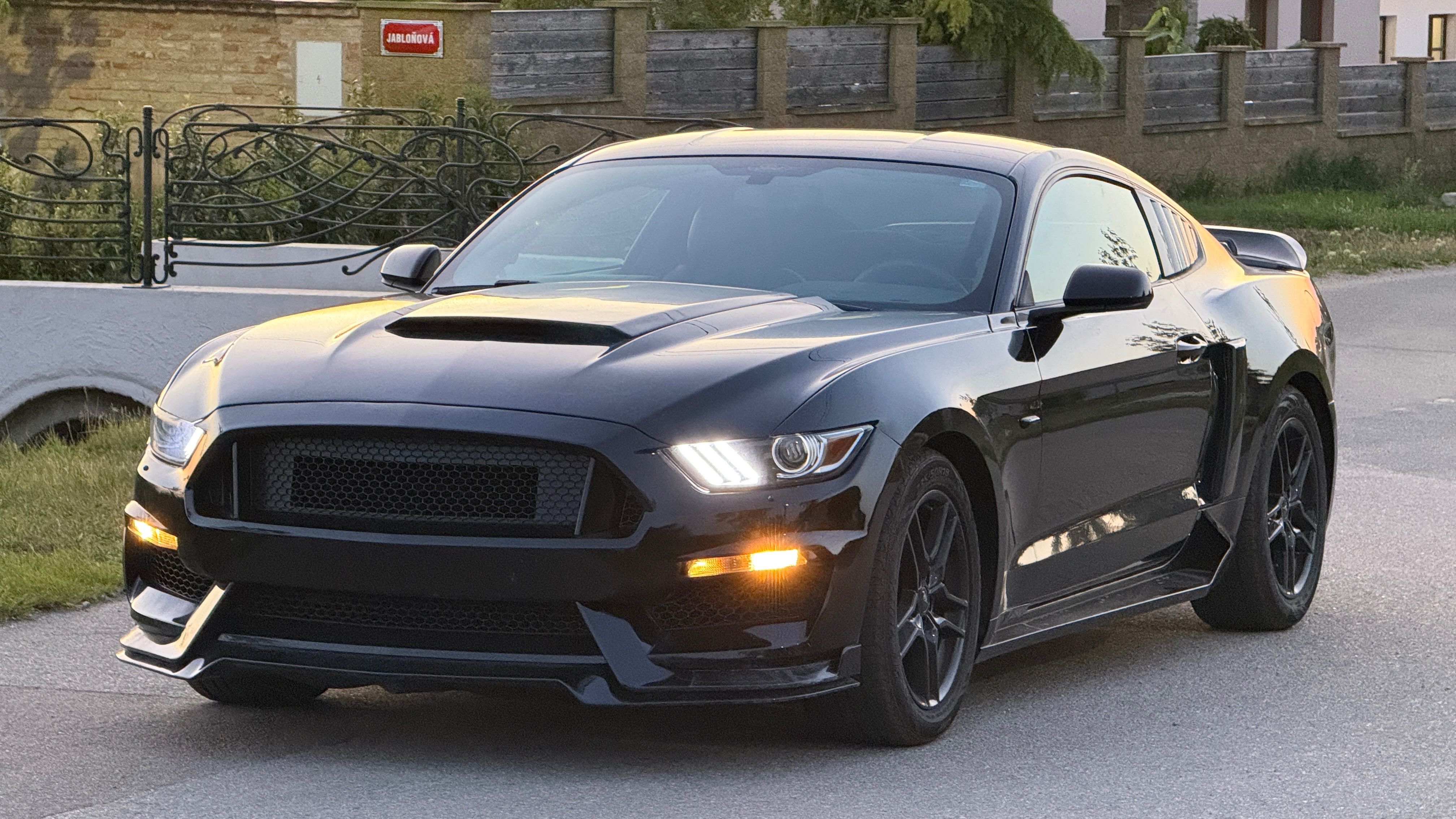 Ford Mustang, 3.7L Automatic Shelby Optika - fotka 2