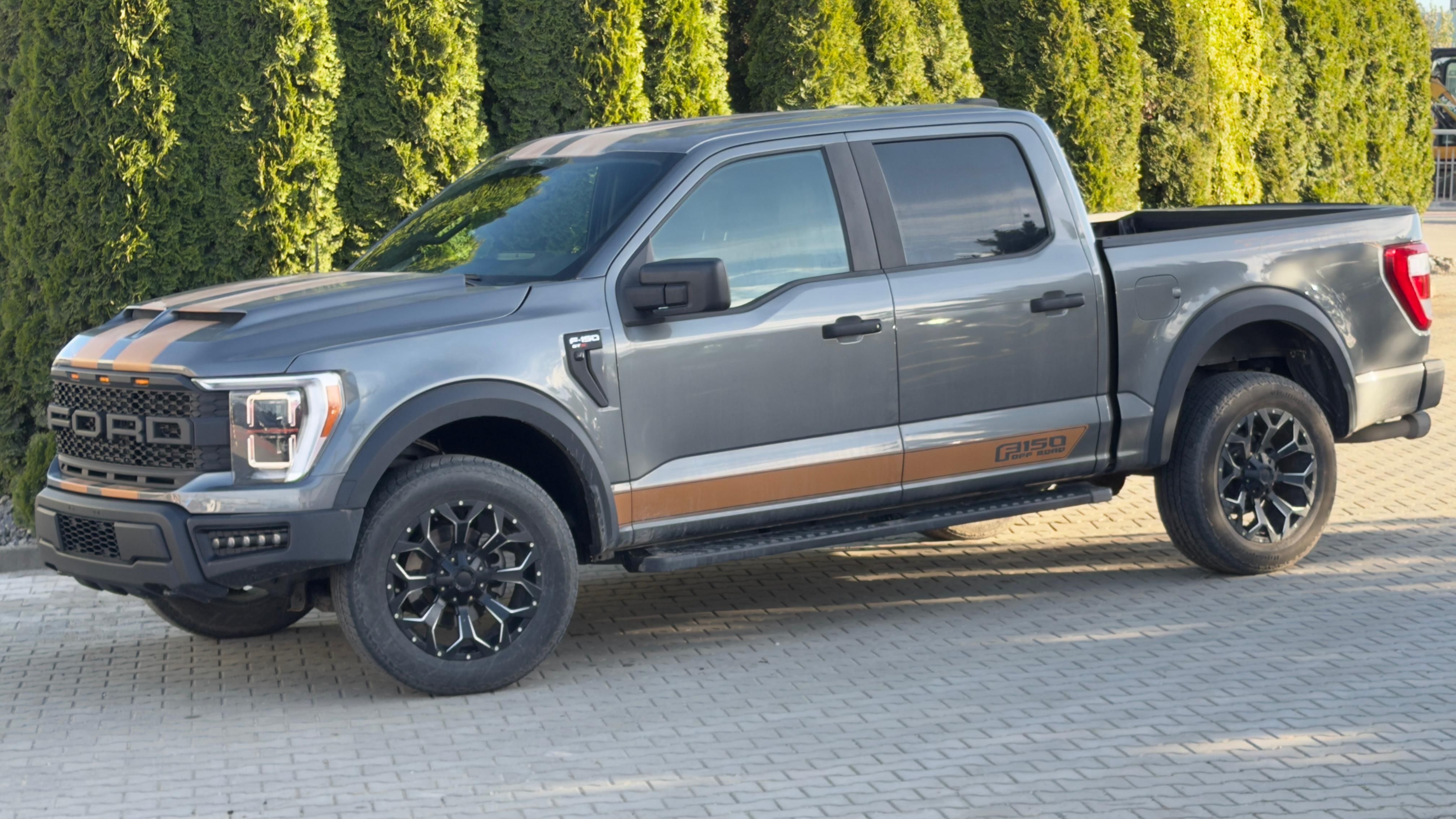 Ford F-150, 5.0L Raptor Style - fotka 5