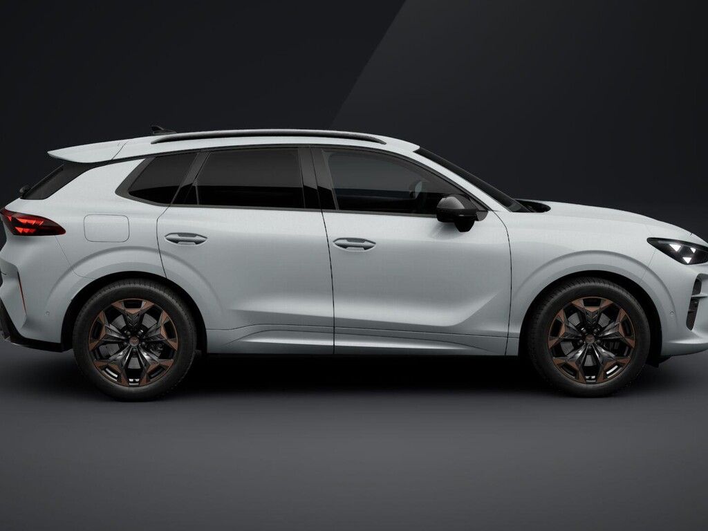 Cupra Terramar, 2.0TSI 150kW DSG 4WD - fotka 4