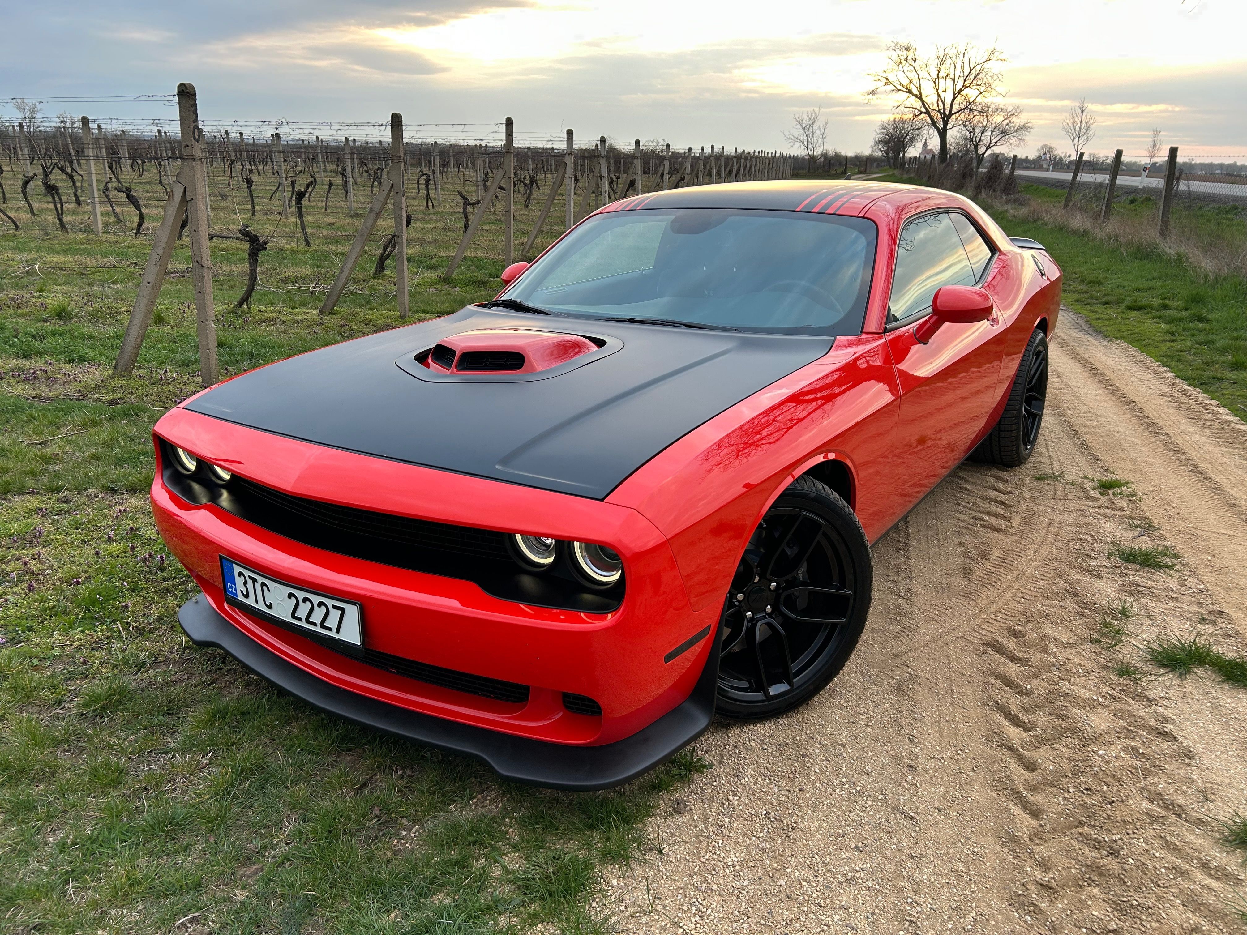 Dodge Challenger, R/T SCAT PACK 392 HEMI  SHAKER - fotka 3