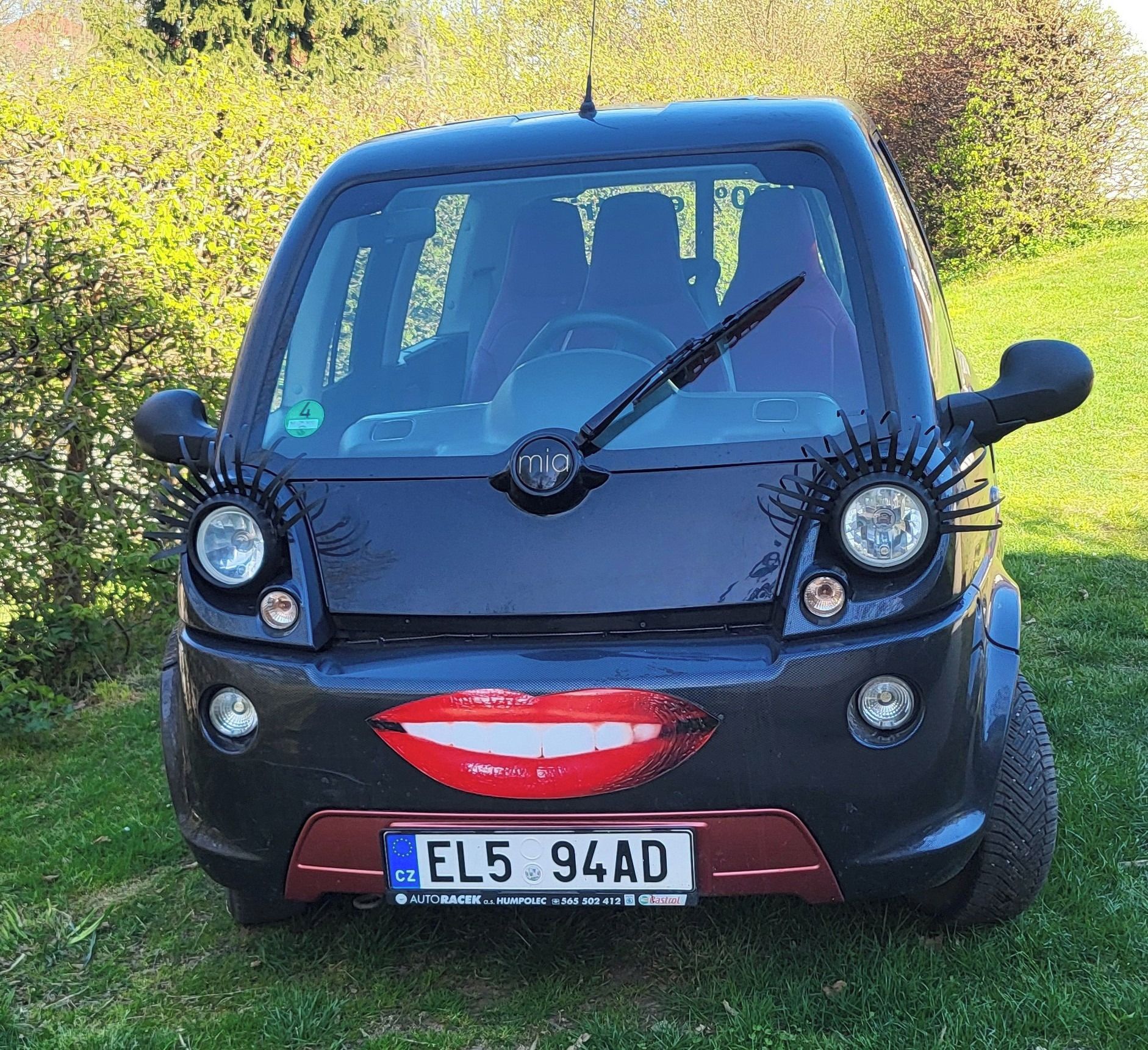 Ostatní, MIA Electric; Baterie LifePol4