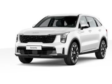 1,6 HEV 4x4 TOP, NAPPA, TEM