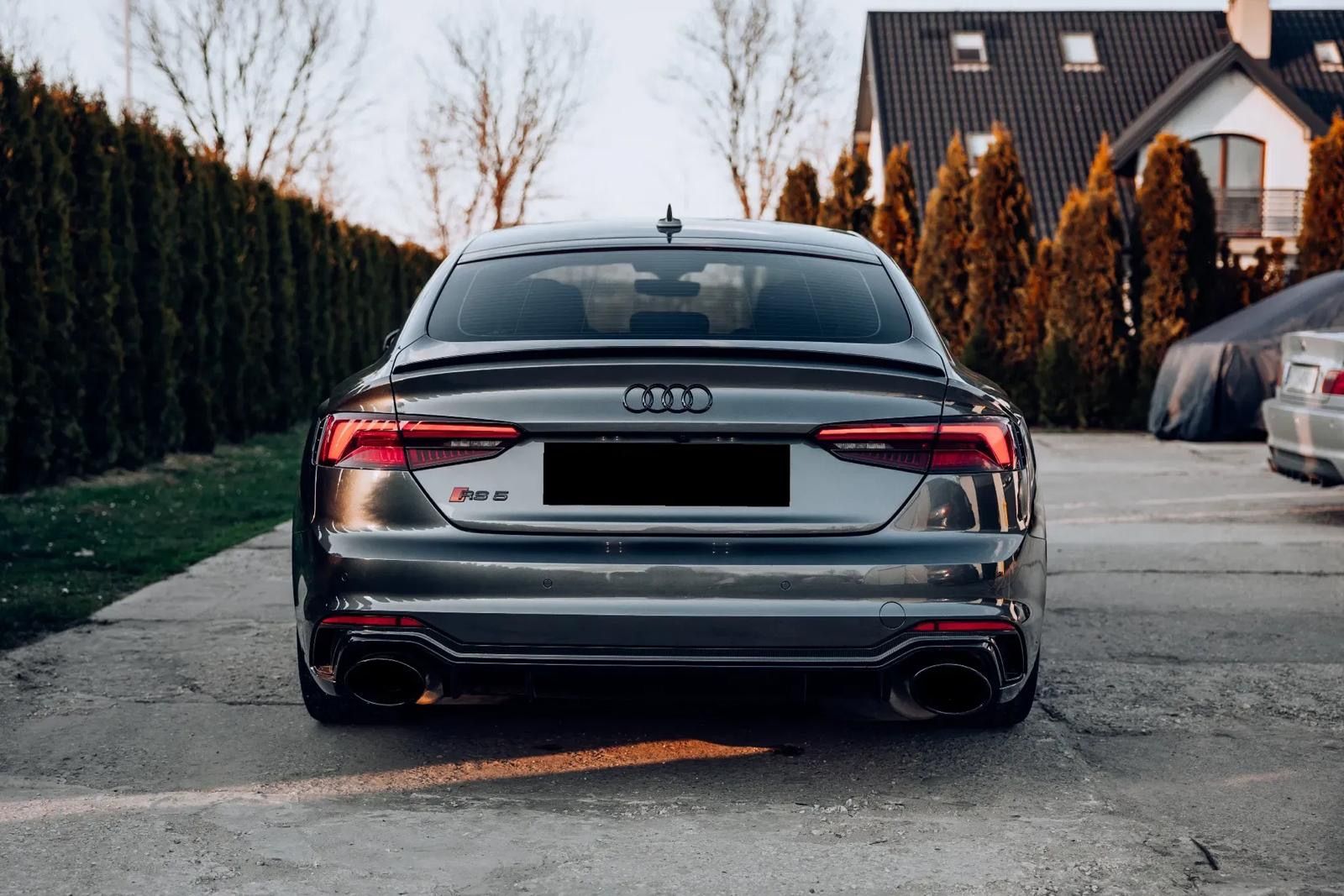 Audi RS5, 2.9TFSI 331kw Carbon,Head-up - fotka 5