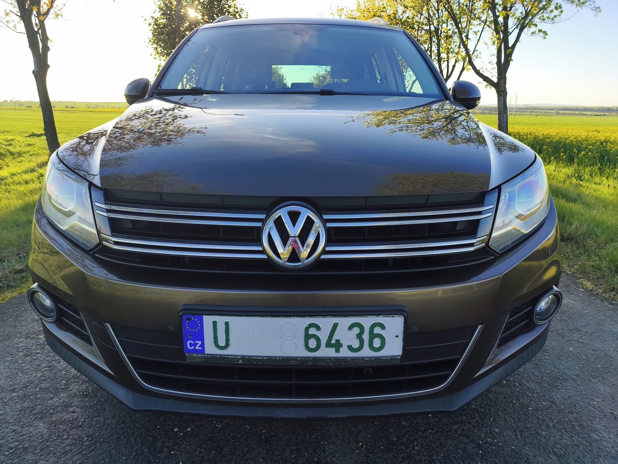 Volkswagen Tiguan, 2,0 TDi 103 kW 4x4 - fotka 2
