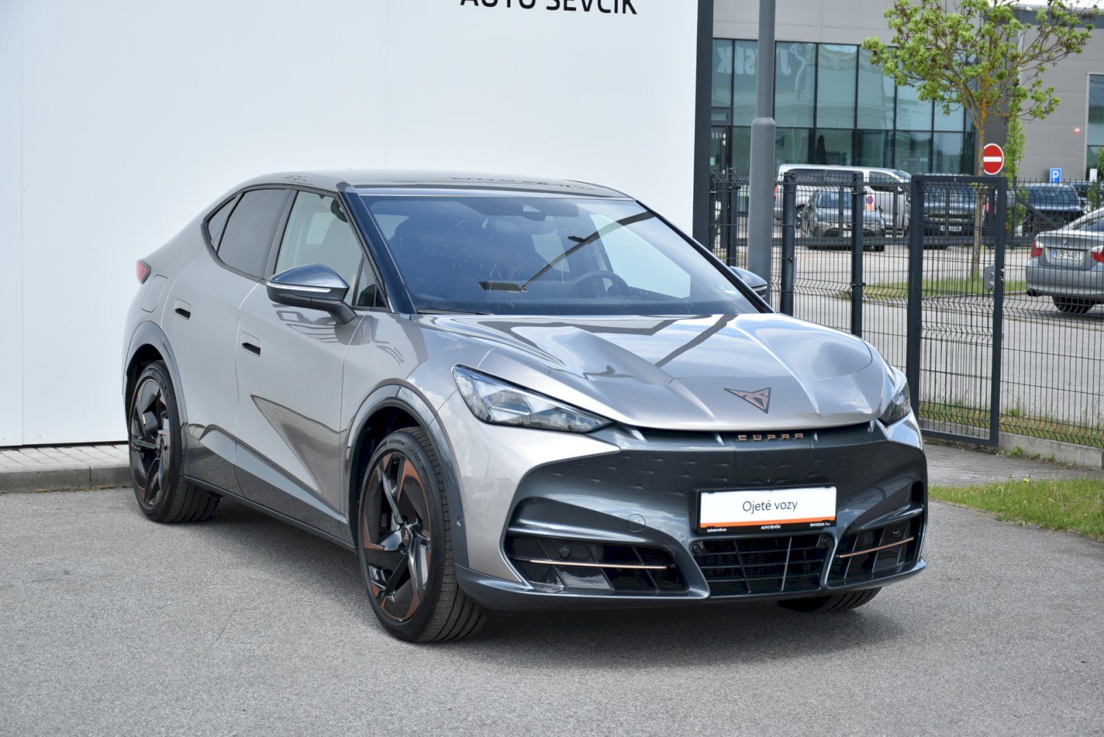 Cupra Tavascan, ENDURANCE 210kW - fotka 6
