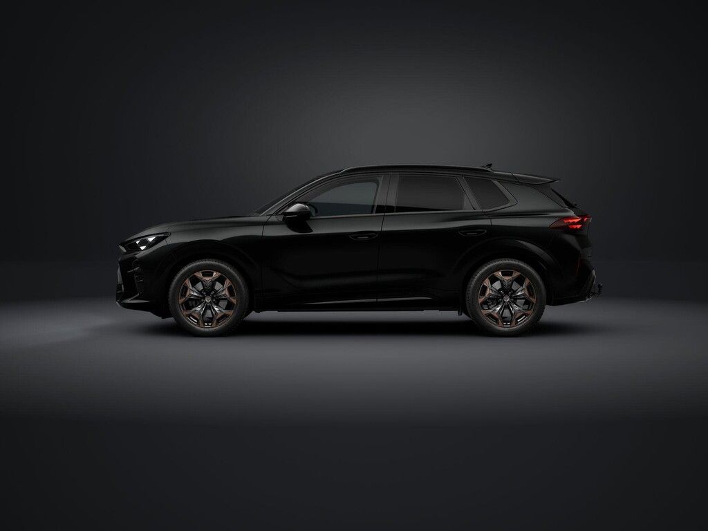 Cupra Terramar, 2.0TSI 150kW DSG 4WD - fotka 2