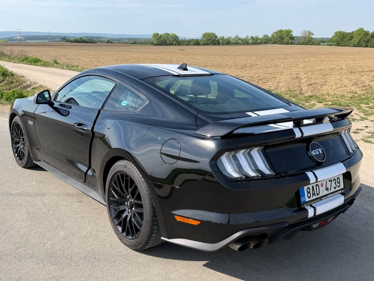 Ford Mustang, GT a 55 years edition - fotka 5