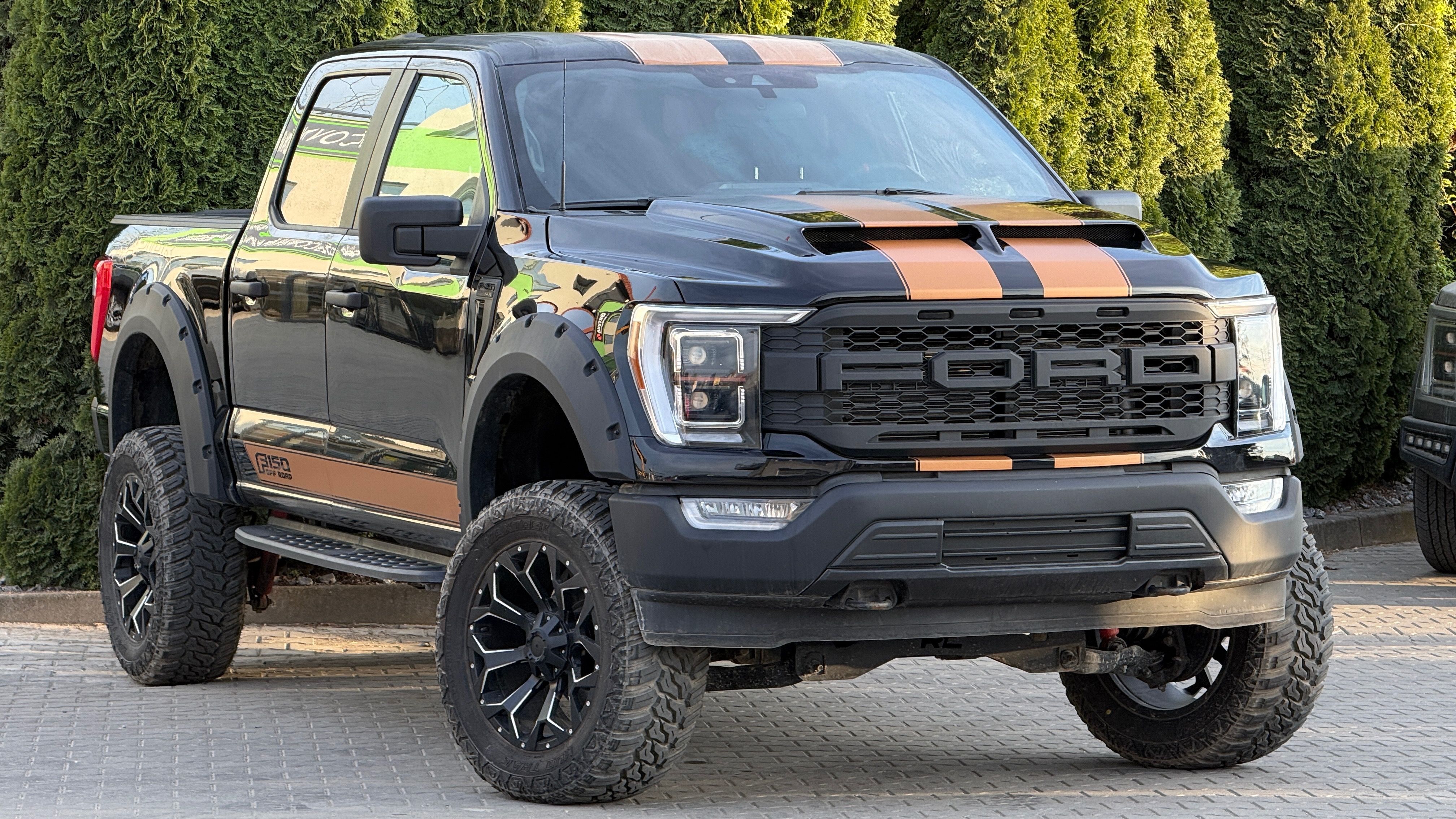 Ford F-150, 5.0L Raptor Optic Profi Lift - fotka 3