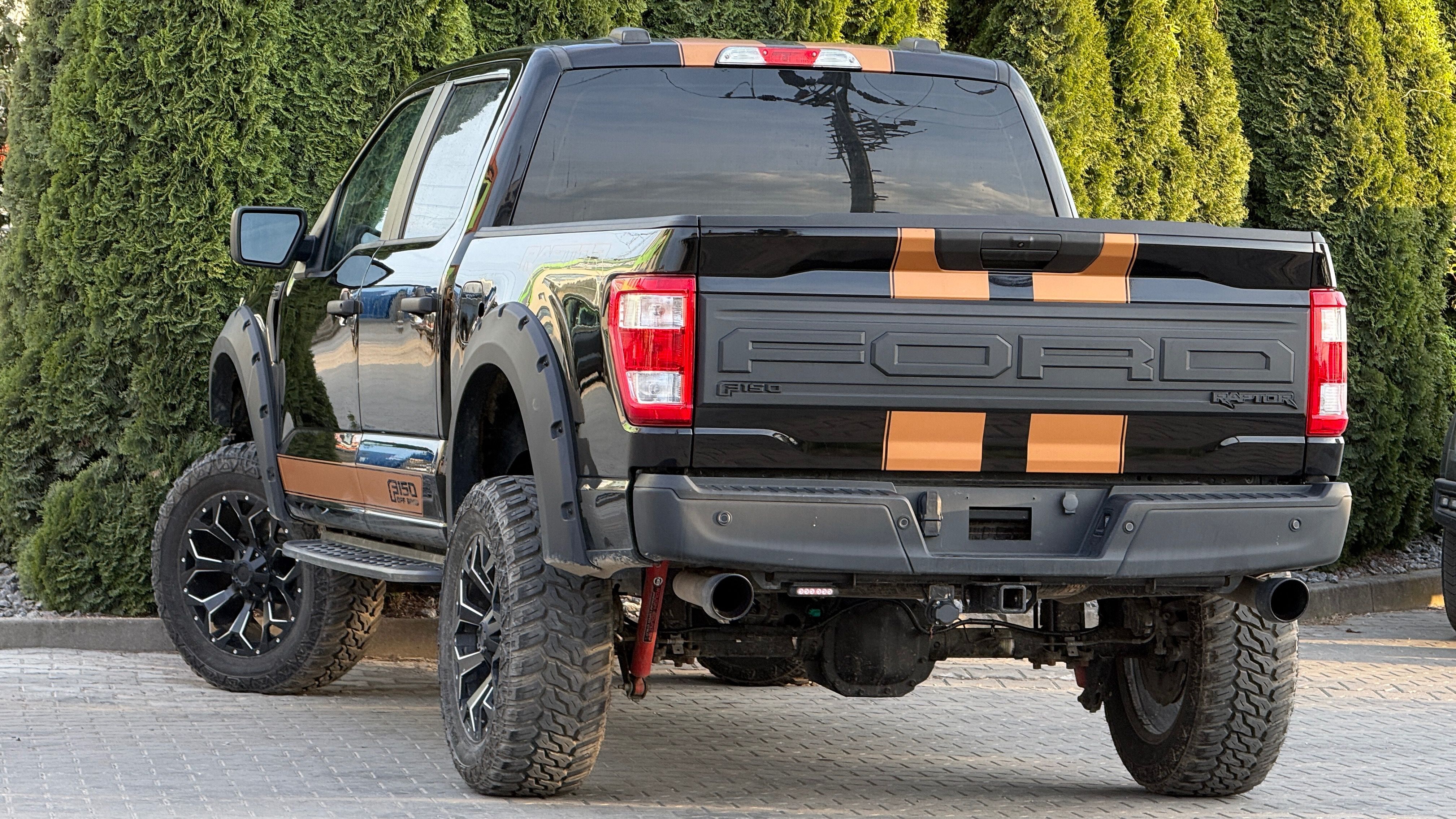 Ford F-150, 5.0L Raptor Optic Profi Lift - fotka 6